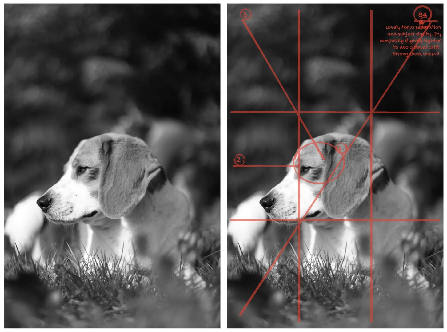 When AI Starts Scoring Photos Like a Real Teacher